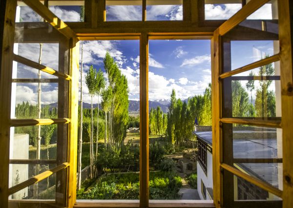 Cost of Wood Window Replacement in Walnut Creek