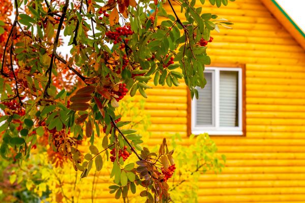 Cost of Garden Window Replacement in Walnut Creek